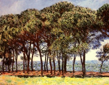  tree Oil Painting - Pine Trees Cap d Antibes Claude Monet